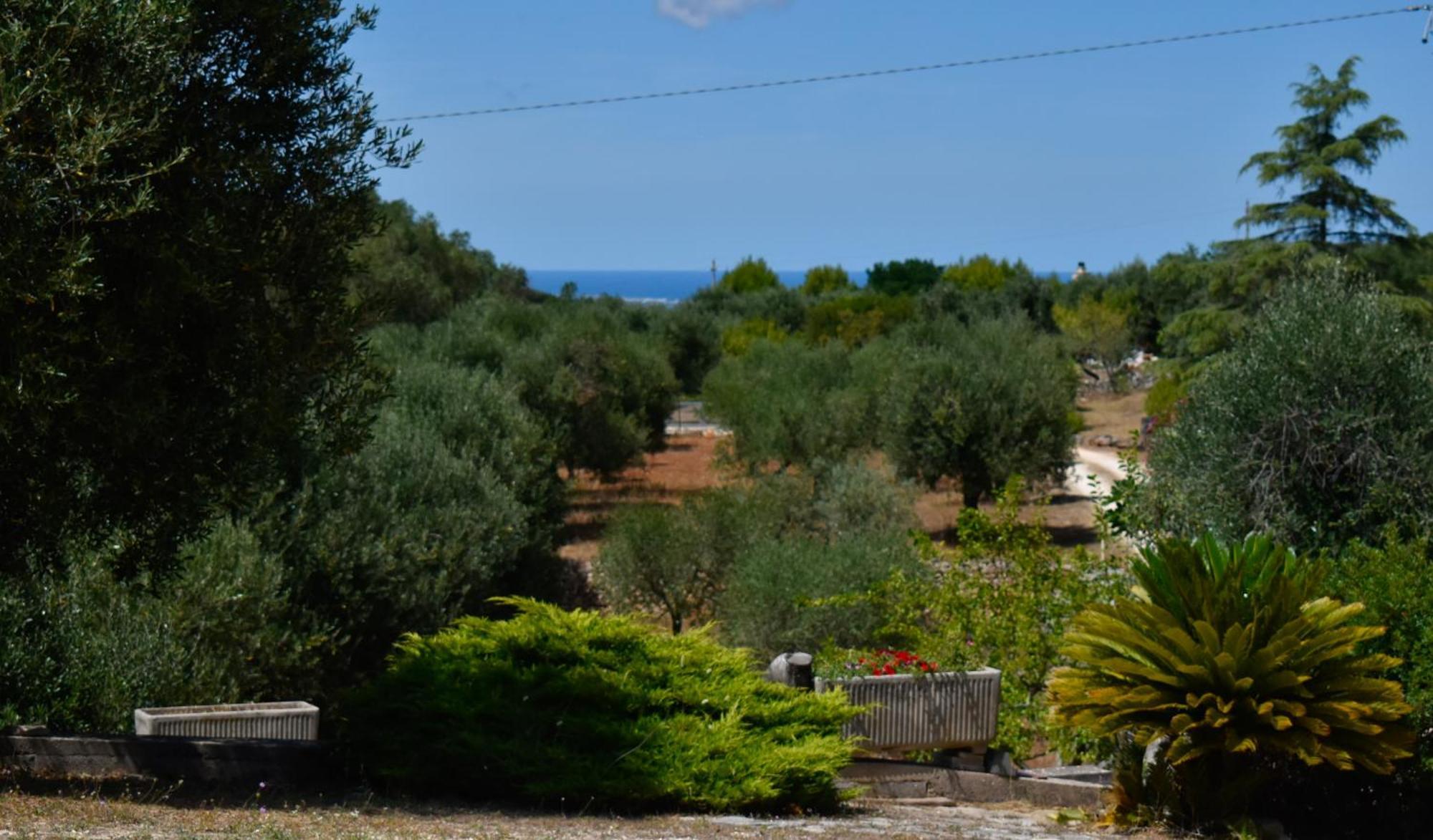 Terre D'Amore - For Couples Hotel Ostuni Exterior photo